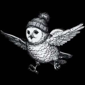 Snowy Owl Trail Race 2026 logo